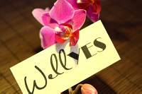 Wellness im Wellspa-Portal