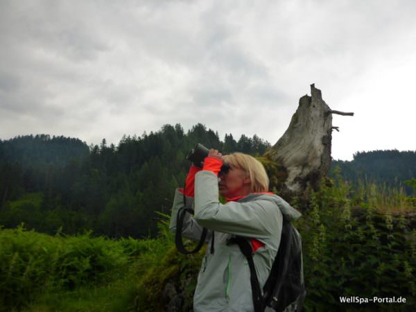 Travel Charme Bergresort Werfenweng